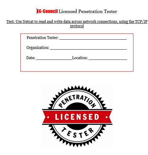 LPT-netcat نمونه فرم گزارش ابزار Netcat - Image 1