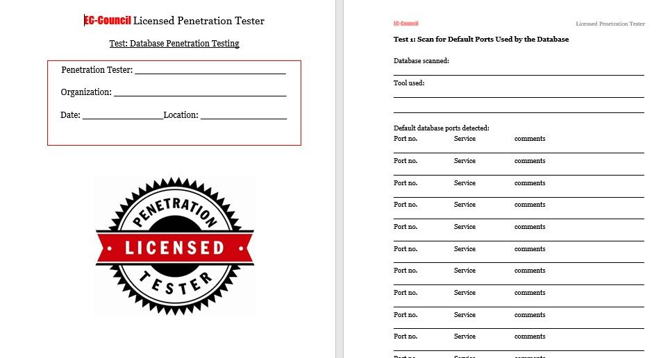 lpt-DatabasePenetrationTesting نمونه فرم گزارش تست نفوذ دیتابیس - Image 1