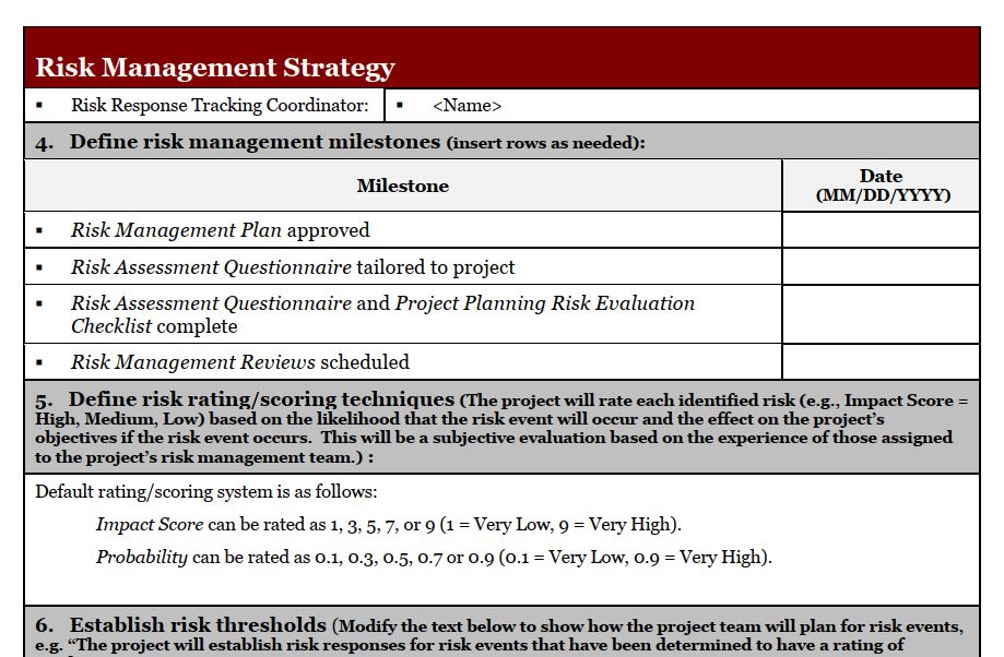 risk-mng فرم Risk Management Plan - Image 1